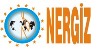 NERGIZ - FLAT TRAVELLING CABLE